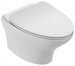 Подвесной унитаз Jacob Delafon Nouvelle Vague 39*54 безободковый с крышкой-сиденьем микролифт E20068-00