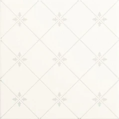 Керамическая плитка Ape Noblesse S001220 20*20 Delis Blanco