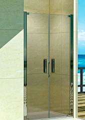 Душевая дверь в нишу WeltWasser WW600 600K2-90 90*185 без поддона