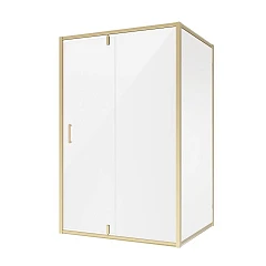 Душевое ограждение Niagara Nova NG-43-12AG 120х100х195 L/R без поддона