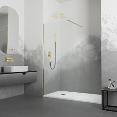 Душевая перегородка RGW Walk In WA--10-G 90*195 без поддона