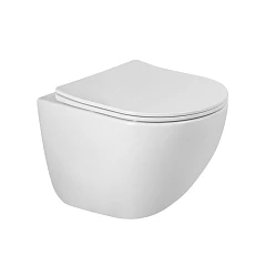 Подвесной унитаз BelBagno Amanda-Tor BB051CH-TOR-FC/SC 36*49,5 безободковый с системой смыва "Торнадо" с крышкой-сиденьем микролифт