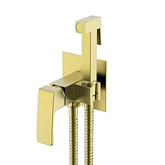 Гигиенический душ со смесителем Raglo R01.52.03 скрытый монтаж золотой сатин