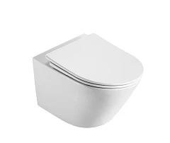 Подвесной унитаз DQ Rhein Bach DT1476516 36*50 безободковый Торнадо с крышкой-сиденьем микролифт